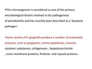 This microorganism is considered as one of the primary
microbiological factors involved in the pathogenesis
of periodontitis and has recently been described as a ‘keystone
pathogen’.
Some strains of P. gingivalis produce a number of proteolytic
enzymes, such as gingipains, amino peptidases, invasins,
cytotoxic substances, collagenases , lipopolysaccharide
, outer membrane proteins, fimbriae and capsule proteins .
 
