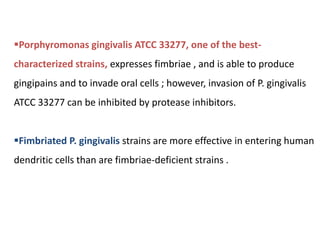 Porphyromonas gingivalis ATCC 33277, one of the best-
characterized strains, expresses fimbriae , and is able to produce
gingipains and to invade oral cells ; however, invasion of P. gingivalis
ATCC 33277 can be inhibited by protease inhibitors.
Fimbriated P. gingivalis strains are more effective in entering human
dendritic cells than are fimbriae-deficient strains .
 