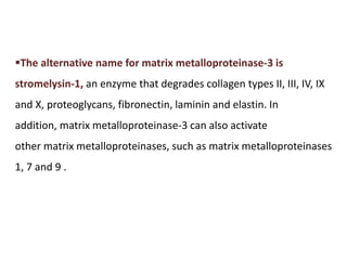 The alternative name for matrix metalloproteinase-3 is
stromelysin-1, an enzyme that degrades collagen types II, III, IV, IX
and X, proteoglycans, fibronectin, laminin and elastin. In
addition, matrix metalloproteinase-3 can also activate
other matrix metalloproteinases, such as matrix metalloproteinases
1, 7 and 9 .
 