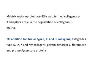 Matrix metalloproteinase-13 is also termed collagenase-
3 and plays a role in the degradation of collagenous
matrix.
In addition to fibrillar type I, XI and III collagens, it degrades
type IV, IX, X and XIV collagens, gelatin, tenascin-C, fibronectin
and proteoglycan core proteins
 