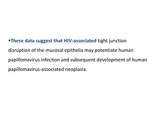 These data suggest that HIV-associated tight junction
disruption of the mucosal epithelia may potentiate human
papillomavirus infection and subsequent development of human
papillomavirus-associated neoplasia.
 