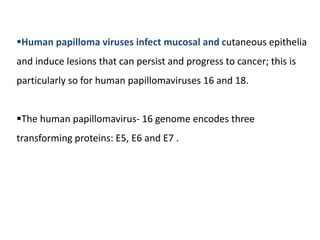 Human papilloma viruses infect mucosal and cutaneous epithelia
and induce lesions that can persist and progress to cancer; this is
particularly so for human papillomaviruses 16 and 18.
The human papillomavirus- 16 genome encodes three
transforming proteins: E5, E6 and E7 .
 