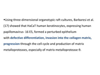 Using three-dimensional organotypic raft cultures, Barbaresi et al.
(17) showed that HaCaT human keratinocytes, expressing human
papillomavirus- 16 E5, formed a perturbed epithelium
with defective differentiation, invasion into the collagen matrix,
progression through the cell cycle and production of matrix
metalloproteases, especially of matrix metalloprotease-9.
 