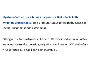 Epstein–Barr virus is a human herpesvirus that infects both
lymphoid and epithelial cells and contributes to the pathogenesis of
several lymphomas and carcinomas.
Using a lytic transactivator of Epstein– Barr virus induction of matrix
metalloprotease-3 expression, migration and invasion of Epstein–Barr
virus-infected cells has been demonstrated .
 