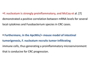 F. nucleatum is strongly proinflammatory, and McCoy et al. [7]
demonstrated a positive correlation between mRNA levels for several
local cytokines and Fusobacterium species in CRC cases.
 Furthermore, in the ApcMin/+ mouse model of intestinal
tumorigenesis, F. nucleatum recruits tumor-infiltrating
immune cells, thus generating a proinflammatory microenvironment
that is conducive for CRC progression.
 