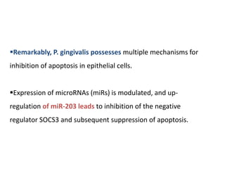 Remarkably, P. gingivalis possesses multiple mechanisms for
inhibition of apoptosis in epithelial cells.
Expression of microRNAs (miRs) is modulated, and up-
regulation of miR-203 leads to inhibition of the negative
regulator SOCS3 and subsequent suppression of apoptosis.
 