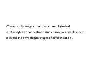 These results suggest that the culture of gingival
keratinocytes on connective tissue equivalents enables them
to mimic the physiological stages of differentiation .
 