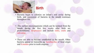 Oral microbiology | PPTX