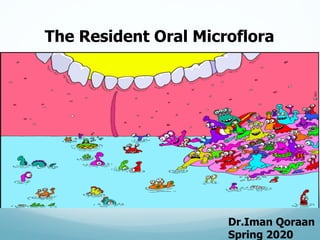 Dr.Iman  Qoraan
Spring  2020
The  Resident  Oral  Microflora
 