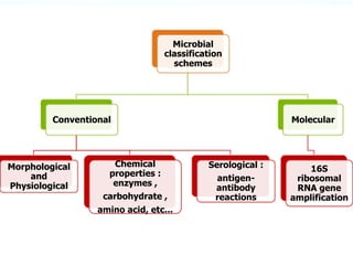 Microbial  
classification  
schemes
Conventional
Morphological  
and  
Physiological
Chemical  
properties  :  
enzymes  ...