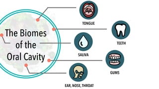 The Biomes
of the
Oral Cavity
TONGUE
TEETH
SALIVA
GUMS
EAR, NOSE,THROAT
 