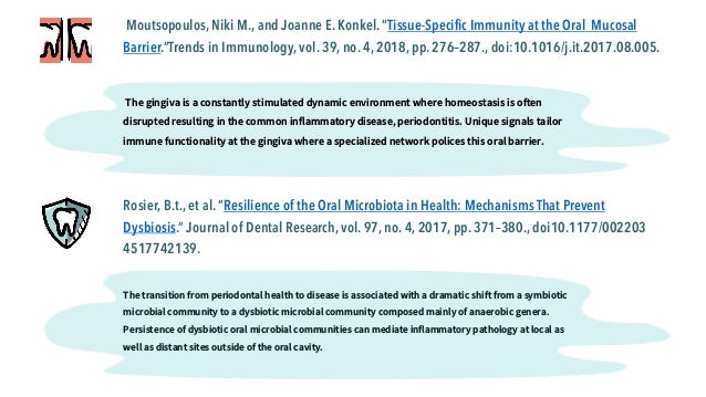 Annotated bibliography generator image