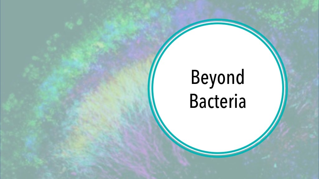 Visual annotated bibliography picture