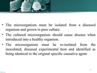10
• The microorganism must be isolated from a diseased
organism and grown in pure culture.
• The cultured microorganism should cause disease when
introduced into a healthy organism.
• The microorganism must be re-isolated from the
inoculated, diseased experimental host and identified as
being identical to the original specific causative agent.
 