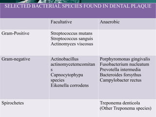 105
SELECTED BACTERIAL SPECIES FOUND IN DENTAL PLAQUE
Facultative Anaerobic
Gram-Positive Streptococcus mutans
Streptococcus sanguis
Actinomyces viscosus
Gram-negative Actinobacillus
actinomycetemcomitan
s
Capnocytophypa
species
Eikenella corrodens
Porphyromonas gingivalis
Fusobacterium nucleatum
Prevotella intermedia
Bacteroides forsythus
Campylobacter rectus
Spirochetes Treponema denticola
(Other Treponema species)
 