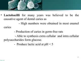 • Lactobacilli for many years was believed to be the
causative agent of dental caries as
- High numbers were obtained in most enamel
caries
- Production of caries in germ-free rats
- Able to synthesis extra cellular and intra cellular
polysaccharides form glucose.
- Produce lactic acid at pH < 5
115
 