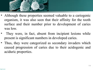 • Although these properties seemed valuable to a cariogenic
organism, it was also seen that their affinity for the tooth
surface and their number prior to development of caries
was low.
• They were, in fact, absent from incipient lesions while
present is significant numbers in developed caries.
• Thus, they were categorized as secondary invaders which
caused progression of caries due to their acidogenic and
aciduric properties.
116
 