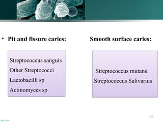 120
• Pit and fissure caries: Smooth surface caries:
Streptococcus sanguis
Other Streptococci
Lactobacilli sp
Actinomyces sp
Streptococcus mutans
Streptococcus Salivarius
 