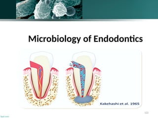 122
Microbiology of Endodontics
 