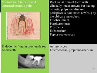 Microflora of infected and
untreated necrotic pulp
Root canal flora of teeth with
clinically intact crowns but having
necrotic pulps and diseased
periapices is dominated (>90% ) by
the obligate anaerobes.
Fusobacterium
Porphyromonas
Prevotella
Eubacterium
Peptostreptococcus
Endodontic flora in previously root
filled teeth
Actinomyces
Enterococcus, propionibacterium
128
 