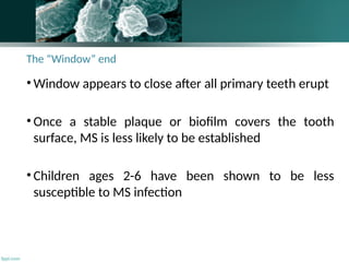The “Window” end
• Window appears to close after all primary teeth erupt
• Once a stable plaque or biofilm covers the tooth
surface, MS is less likely to be established
• Children ages 2-6 have been shown to be less
susceptible to MS infection
138
 