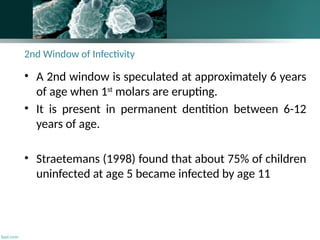 2nd Window of Infectivity
• A 2nd window is speculated at approximately 6 years
of age when 1st
molars are erupting.
• It is present in permanent dentition between 6-12
years of age.
• Straetemans (1998) found that about 75% of children
uninfected at age 5 became infected by age 11
139
 