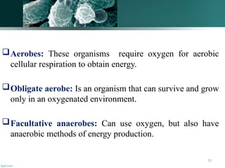 15
Aerobes: These organisms require oxygen for aerobic
cellular respiration to obtain energy.
Obligate aerobe: Is an organism that can survive and grow
only in an oxygenated environment.
Facultative anaerobes: Can use oxygen, but also have
anaerobic methods of energy production.
 