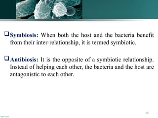 20
Symbiosis: When both the host and the bacteria benefit
from their inter-relationship, it is termed symbiotic.
Antibiosis: It is the opposite of a symbiotic relationship.
Instead of helping each other, the bacteria and the host are
antagonistic to each other.
 