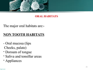 21
ORAL HABITATS
The major oral habitats are:-
NON TOOTH HABITATS
- Oral mucosa (lips
Cheeks, palate)
- Dorsum of tongue
- Saliva and tonsillar areas
- Appliances
 