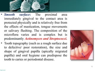 • Smooth surface: The proximal area
immediately gingival to the contact area is
protected physically and is relatively free from
the effects of mastication, tongue movements
or salivary flushing. The composition of the
microflora varies and is complex but is
predominantly Actinomyces and Streptococci.
• Tooth topography (such as a rough surface due
to defective/ poor restoration), the size and
shape of gingival papilla (apically migrated
papilla) and oral hygiene can predispose the
tooth to caries or periodontal disease.
32
 