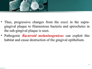 • Thus, progressive changes from the cocci in the supra-
gingival plaque to filamentous bacteria and spirochetes in
the sub-gingival plaque is seen.
• Pathogenic Bacteroid melaninogenicus can exploit this
habitat and cause destruction of the gingival epithelium.
35
 