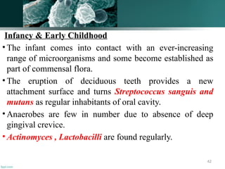 Infancy & Early Childhood
• The infant comes into contact with an ever-increasing
range of microorganisms and some become established as
part of commensal flora.
• The eruption of deciduous teeth provides a new
attachment surface and turns Streptococcus sanguis and
mutans as regular inhabitants of oral cavity.
• Anaerobes are few in number due to absence of deep
gingival crevice.
• Actinomyces , Lactobacilli are found regularly.
42
 
