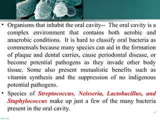• Organisms that inhabit the oral cavity-- The oral cavity is a
complex environment that contains both aerobic and
anaerobic conditions. It is hard to classify oral bacteria as
commensals because many species can aid in the formation
of plaque and dental carries, cause periodontal disease, or
become potential pathogens as they invade other body
tissue. Some also present mutualistic benefits such as
vitamin synthesis and the suppression of no indigenous
potential pathogens.
• Species of Streptococcus, Neisseria, Lactobacillus, and
Staphylococcus make up just a few of the many bacteria
present in the oral cavity. 47
 