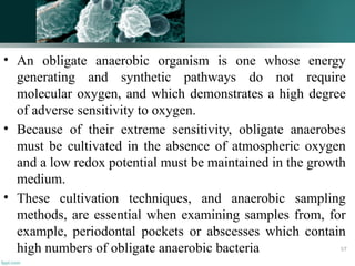 • An obligate anaerobic organism is one whose energy
generating and synthetic pathways do not require
molecular oxygen, and which demonstrates a high degree
of adverse sensitivity to oxygen.
• Because of their extreme sensitivity, obligate anaerobes
must be cultivated in the absence of atmospheric oxygen
and a low redox potential must be maintained in the growth
medium.
• These cultivation techniques, and anaerobic sampling
methods, are essential when examining samples from, for
example, periodontal pockets or abscesses which contain
high numbers of obligate anaerobic bacteria 57
 