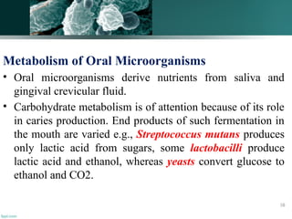 Metabolism of Oral Microorganisms
• Oral microorganisms derive nutrients from saliva and
gingival crevicular fluid.
• Carbohydrate metabolism is of attention because of its role
in caries production. End products of such fermentation in
the mouth are varied e.g., Streptococcus mutans produces
only lactic acid from sugars, some lactobacilli produce
lactic acid and ethanol, whereas yeasts convert glucose to
ethanol and CO2.
58
 