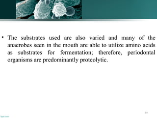 59
• The substrates used are also varied and many of the
anaerobes seen in the mouth are able to utilize amino acids
as substrates for fermentation; therefore, periodontal
organisms are predominantly proteolytic.
 