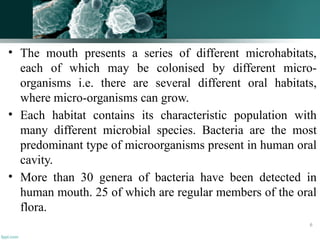 • The mouth presents a series of different microhabitats,
each of which may be colonised by different micro-
organisms i.e. there are several different oral habitats,
where micro-organisms can grow.
• Each habitat contains its characteristic population with
many different microbial species. Bacteria are the most
predominant type of microorganisms present in human oral
cavity.
• More than 30 genera of bacteria have been detected in
human mouth. 25 of which are regular members of the oral
flora.
6
 
