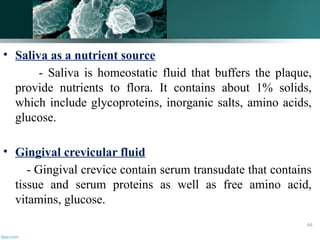 • Saliva as a nutrient source
- Saliva is homeostatic fluid that buffers the plaque,
provide nutrients to flora. It contains about 1% solids,
which include glycoproteins, inorganic salts, amino acids,
glucose.
• Gingival crevicular fluid
- Gingival crevice contain serum transudate that contains
tissue and serum proteins as well as free amino acid,
vitamins, glucose.
64
 