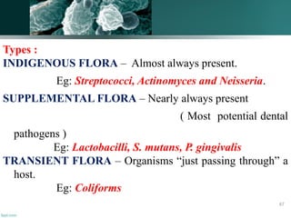 Types :
INDIGENOUS FLORA – Almost always present.
Eg: Streptococci, Actinomyces and Neisseria.
SUPPLEMENTAL FLORA – Nearly always present
( Most potential dental
pathogens )
Eg: Lactobacilli, S. mutans, P. gingivalis
TRANSIENT FLORA – Organisms “just passing through” a
host.
Eg: Coliforms
67
 