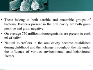 • These belong to both aerobic and anaerobic groups of
bacteria. Bacteria present in the oral cavity are both gram
positive and gram negative.
• On average 750 million microorganisms are present in each
ml of saliva.
• Natural microflora in the oral cavity become established
during childhood and then change throughout the life under
the influence of various environmental and behavioural
factors.
7
 