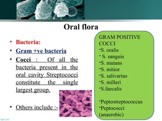 71
Oral flora
• Bacteria:
• Gram +ve bacteria
• Cocci : Of all the
bacteria present in the
oral cavity Streptococci
constitute the single
largest group.
• Others include :-
GRAM POSITIVE
COCCI
-S. oralis
- S. sanguis
-S. mutans
-S. mitior
-S. salivarius
-S. milleri
-S.faecalis
-Peptostreptococcus
-Peptococci
(anaerobic)
 