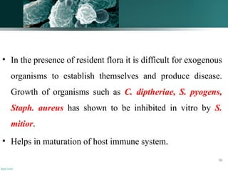 • In the presence of resident flora it is difficult for exogenous
organisms to establish themselves and produce disease.
Growth of organisms such as C. diptheriae, S. pyogens,
Staph. aureus has shown to be inhibited in vitro by S.
mitior.
• Helps in maturation of host immune system.
80
 
