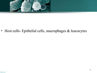 86
• Host cells- Epithelial cells, macrophages & leucocytes
 
