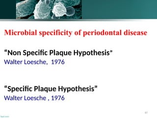 87
Microbial specificity of periodontal disease
“Non Specific Plaque Hypothesis”
Walter Loesche, 1976
“Specific Plaque Hypothesis”
Walter Loesche , 1976
 