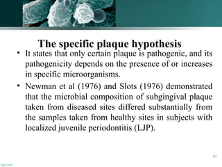 • It states that only certain plaque is pathogenic, and its
pathogenicity depends on the presence of or increases
in specific microorganisms.
• Newman et al (1976) and Slots (1976) demonstrated
that the microbial composition of subgingival plaque
taken from diseased sites differed substantially from
the samples taken from healthy sites in subjects with
localized juvenile periodontitis (LJP).
89
The specific plaque hypothesis
 
