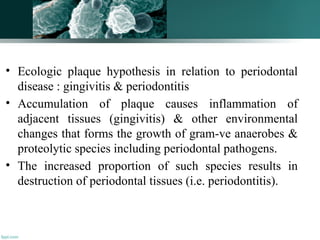 • Ecologic plaque hypothesis in relation to periodontal
disease : gingivitis & periodontitis
• Accumulation of plaque causes inflammation of
adjacent tissues (gingivitis) & other environmental
changes that forms the growth of gram-ve anaerobes &
proteolytic species including periodontal pathogens.
• The increased proportion of such species results in
destruction of periodontal tissues (i.e. periodontitis).
95
 