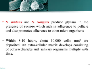 • S. mutans and S. Sanguis produce glycans in the
presence of sucrose which aids in adherence to pellicle
and also promotes adherence to other micro organisms
• Within 8-10 hours, about 10,000 cells/ mm2
are
deposited. An extra-cellular matrix develops consisting
of polysaccharides and salivary organisms multiply with
time.
98
 