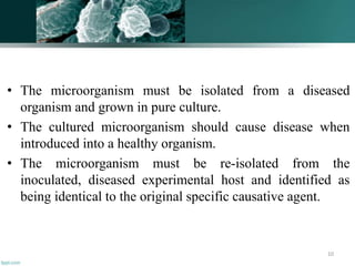 • The microorganism must be isolated from a diseased
organism and grown in pure culture.
• The cultured microorganism should cause disease when
introduced into a healthy organism.
• The microorganism must be re-isolated from the
inoculated, diseased experimental host and identified as
being identical to the original specific causative agent.
10
 