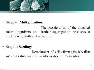 • Stage 4: Multiplication:
The proliferation of the attached
micro-organisms and further aggregation produces a
confluent growth and a biofilm.
• Stage 5: Seeding:
Detachment of cells from this bio film
into the saliva results in colonization of fresh sites.
100
 