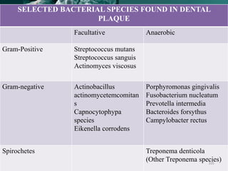 SELECTED BACTERIAL SPECIES FOUND IN DENTAL
PLAQUE
Facultative Anaerobic
Gram-Positive Streptococcus mutans
Streptococcus sanguis
Actinomyces viscosus
Gram-negative Actinobacillus
actinomycetemcomitan
s
Capnocytophypa
species
Eikenella corrodens
Porphyromonas gingivalis
Fusobacterium nucleatum
Prevotella intermedia
Bacteroides forsythus
Campylobacter rectus
Spirochetes Treponema denticola
(Other Treponema species)105
 